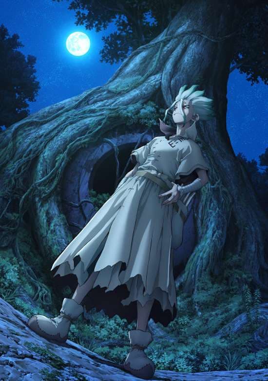 Dr.STONE: NEW WORLD
