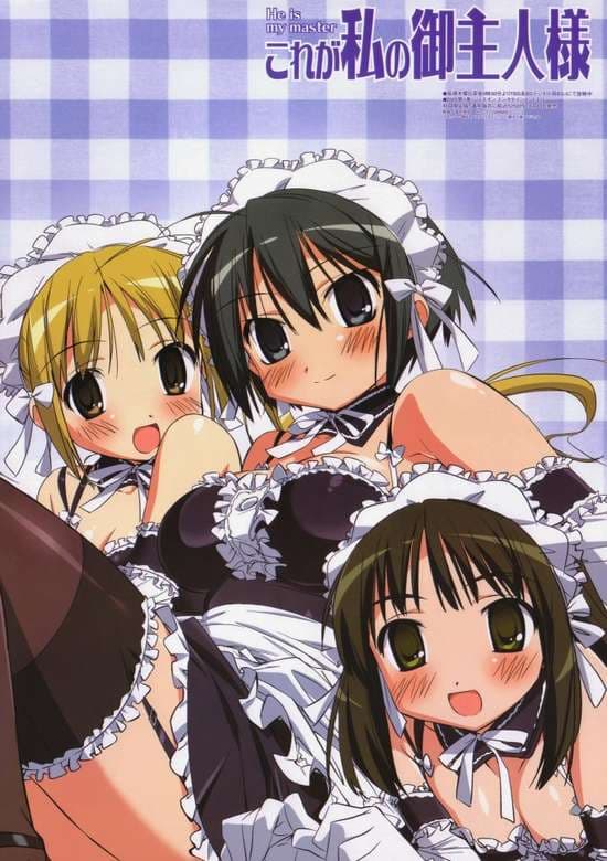 Kore ga Watashi no Goshujinsama
