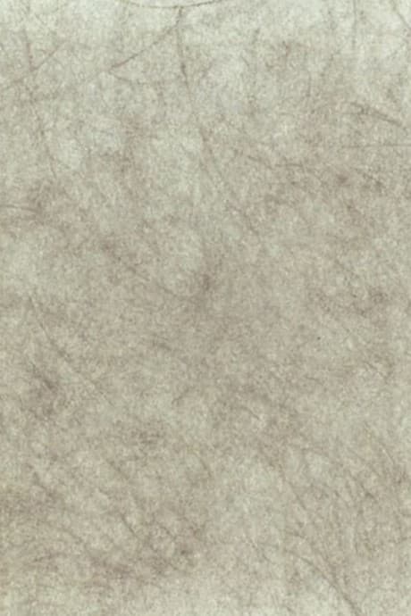 Scripta Volant